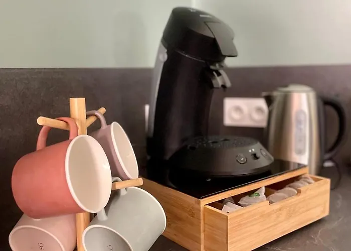 Into The Wine Apartment